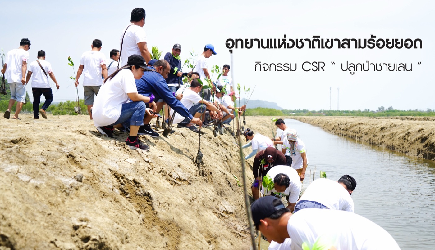 กิจกรรม CSR อุทยานแห่งชาติเขาสามร้อยยอด