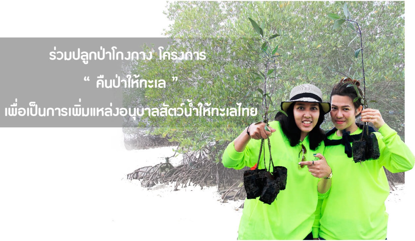 คืนป่าให้ทะเล